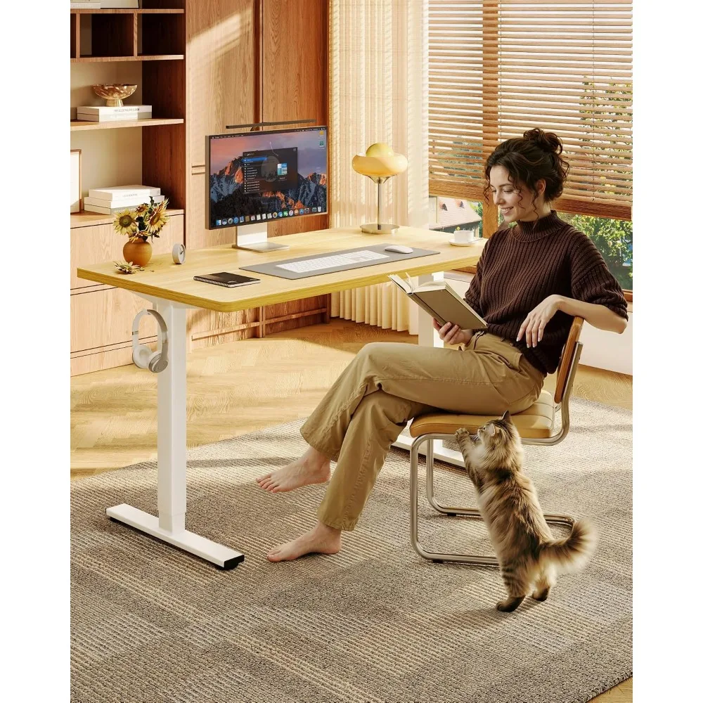 Escritorio Elevable de una Pie - Desk Setup One Monitor reseña y precio