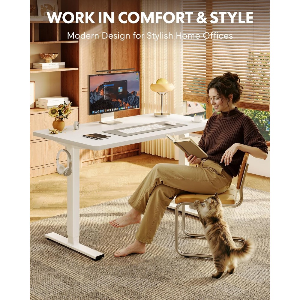 FLEXISPOT EN1 Escritorio de pi - Desk Setup One Monitor reseña y precio