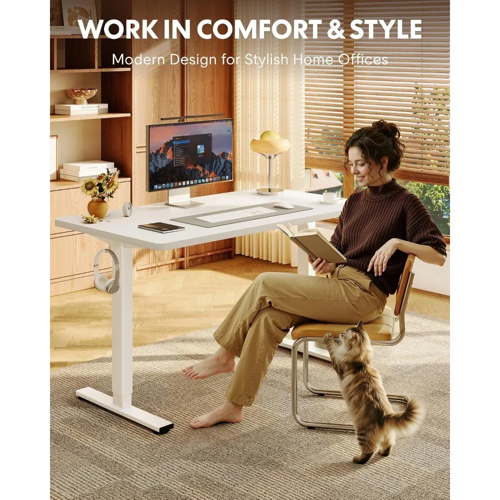 FLEXISPOT EN1 Escritorio de pi - Desk Setup One Monitor reseña y precio